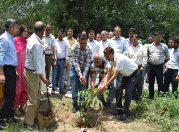 Planting by Our Principal