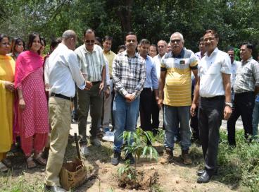 Green Delhi is Clean Delhi